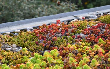 the cost of Bowridge Hill green roof installation