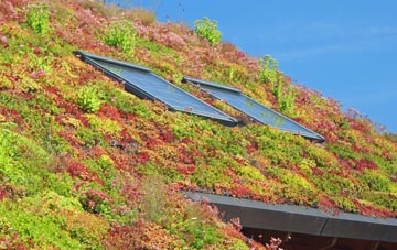 Bowridge Hill living roof systems