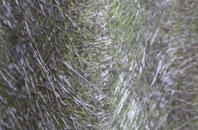 Bowridge Hill fibreglass roof work